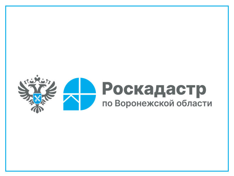 Воронежский Роскадастр расскажет о консультационных услугах.