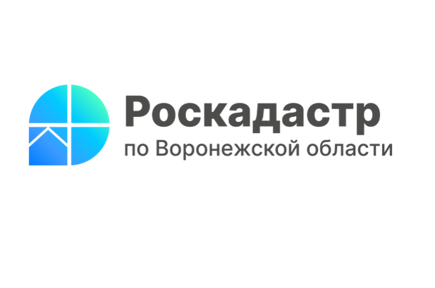 В 2025 году воронежский Роскадастр проводит комплексные кадастро-вые работы в отношении 184 кадастровых кварталов.