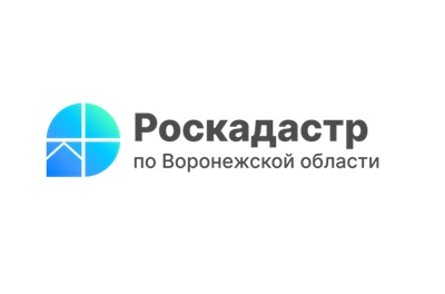 Как выбрать кадастрового инженера?. Как выбрать кадастрового инженера?.