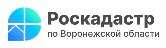 Воронежский Роскадастр ответит на вопросы получения выписок и материалов ГФДЗ. Воронежский Роскадастр ответит на вопросы получения выписок и материалов ГФДЗ.