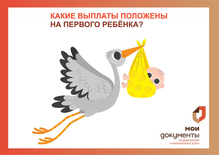 Какие выплаты положены на первого ребенка?. Какие выплаты положены на первого ребенка?.